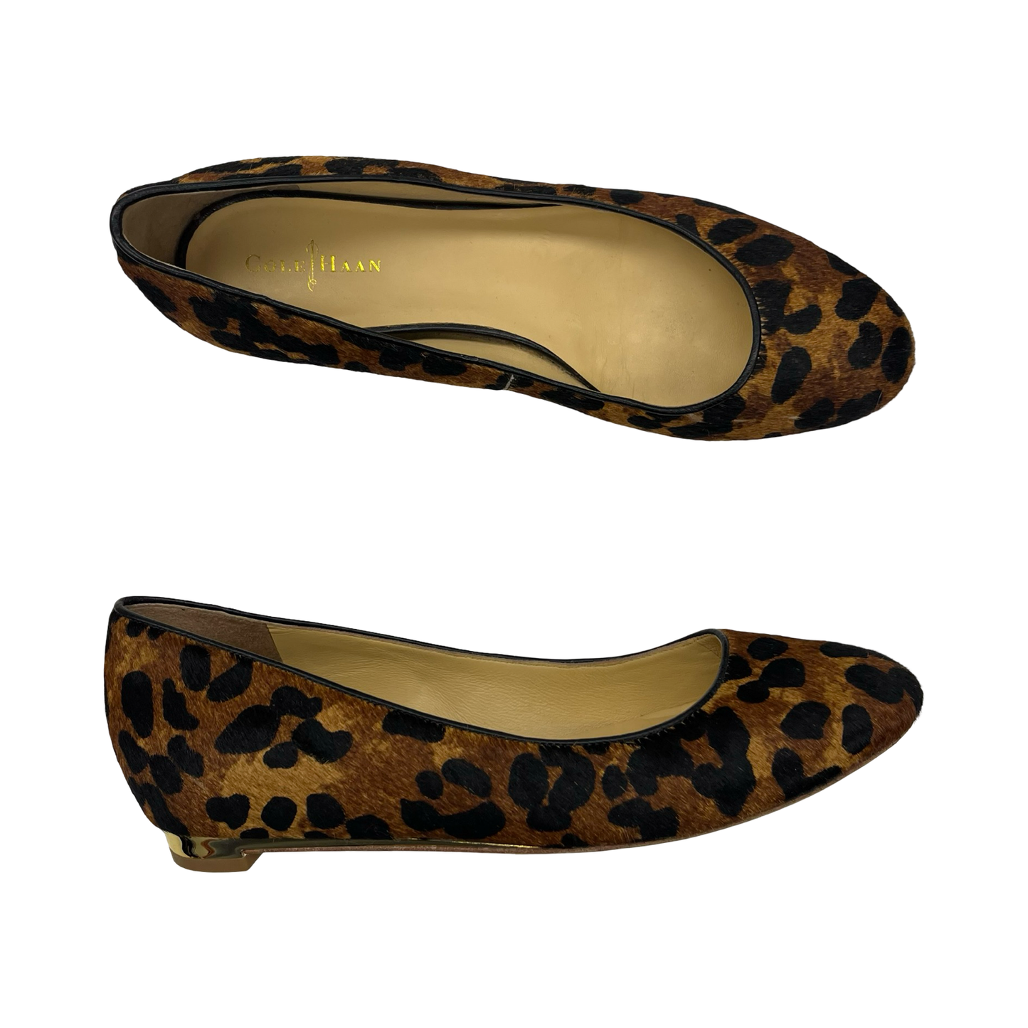 Shoes Flats By Cole-Haan In Leopard Print, Size:7.5