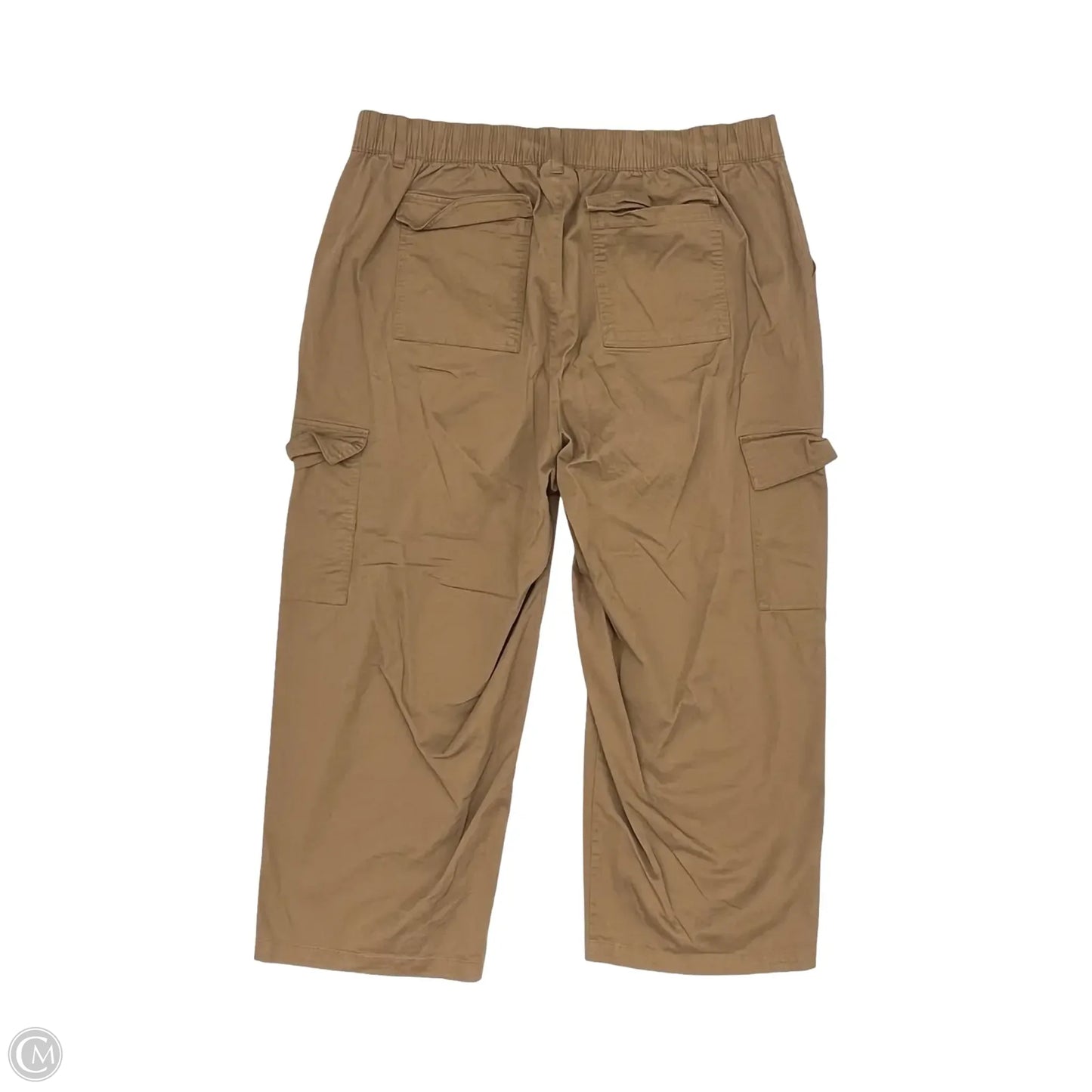 Pants Cargo & Utility By Ava & Viv In Brown, Size: 2x