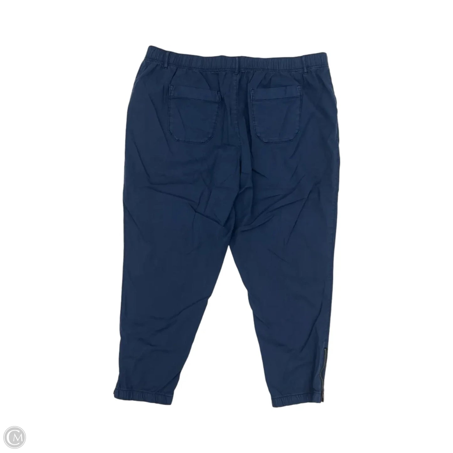 Pants Cargo & Utility By Sonoma In Navy, Size: 2x