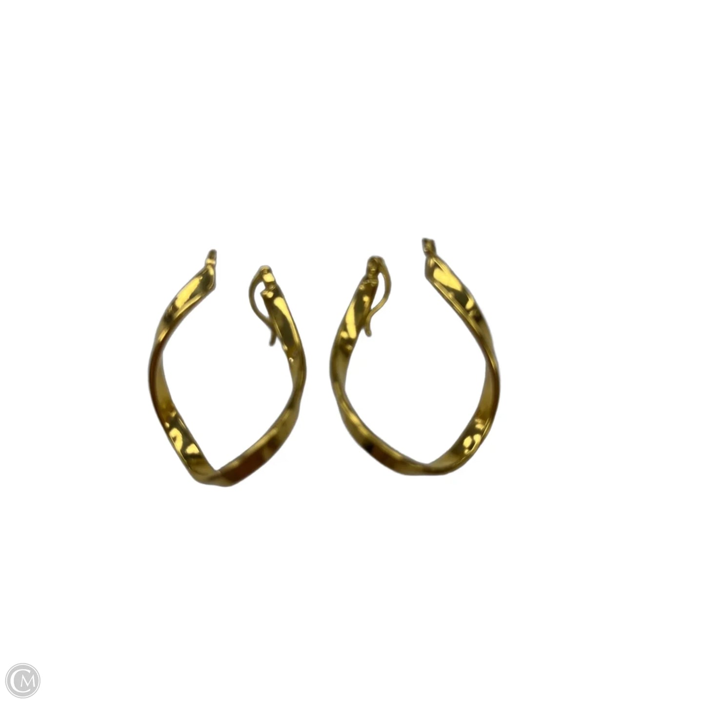 Earrings Hoop By Clothes Mentor