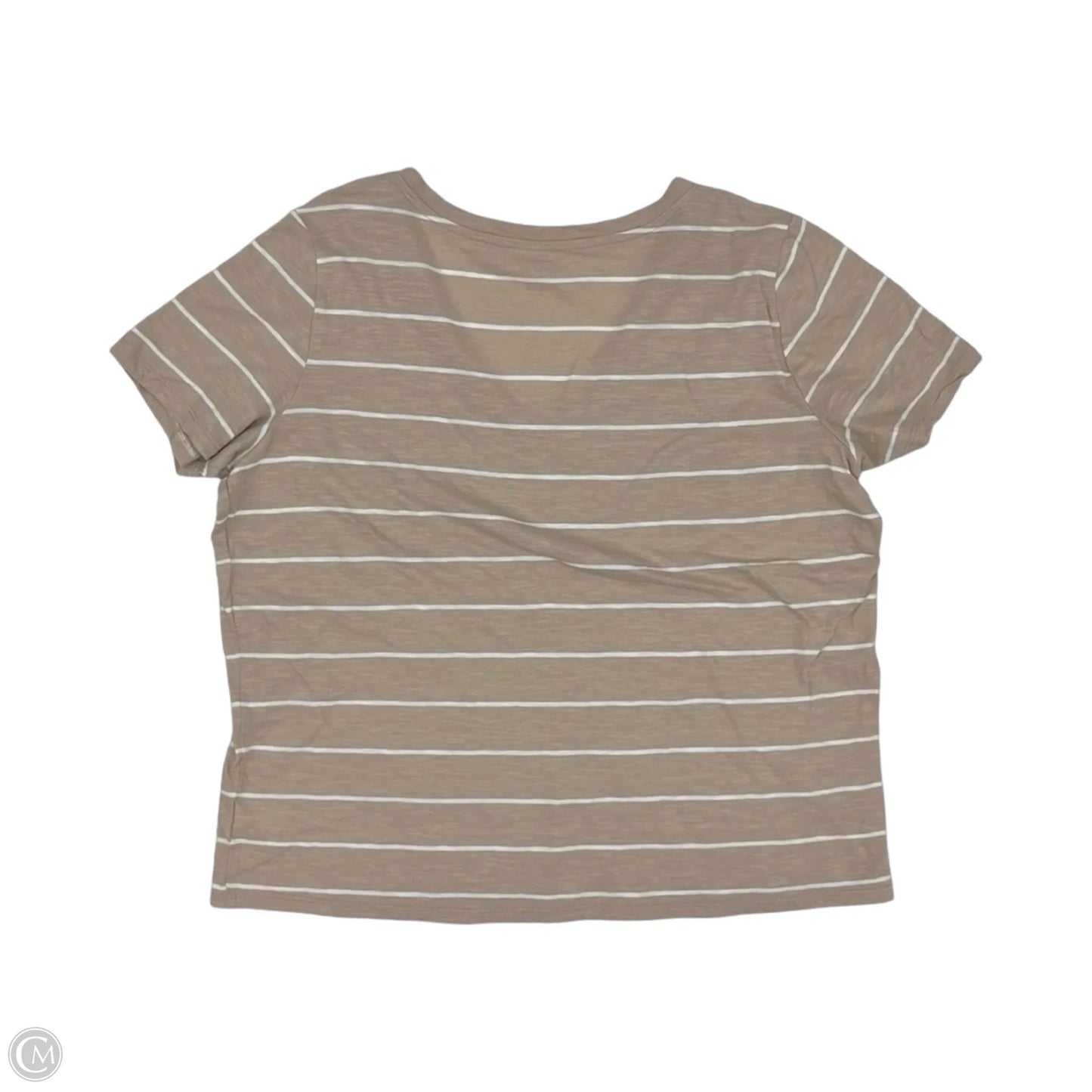 Top Short Sleeve By Ana In Tan & White, Size: Xl