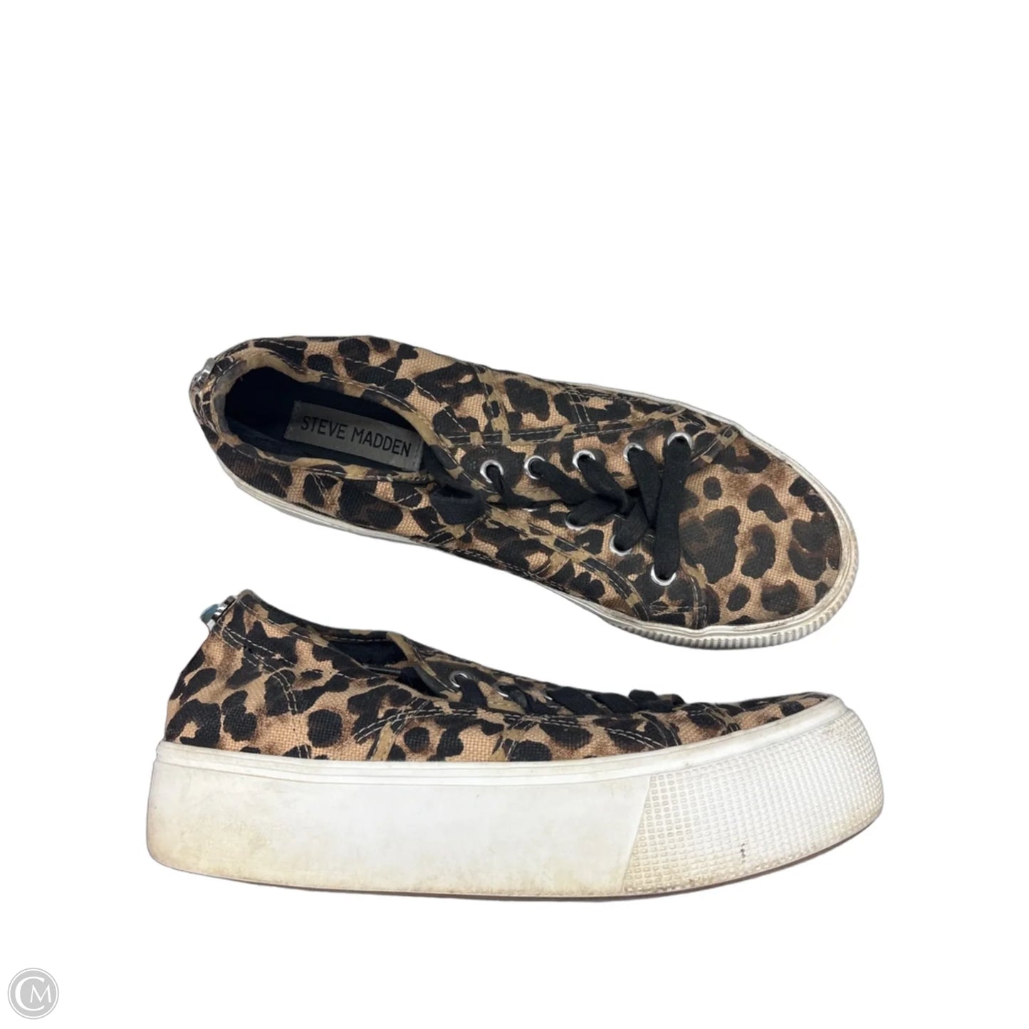 Shoes Sneakers Platform By Steve Madden In Leopard Print, Size: 8.5