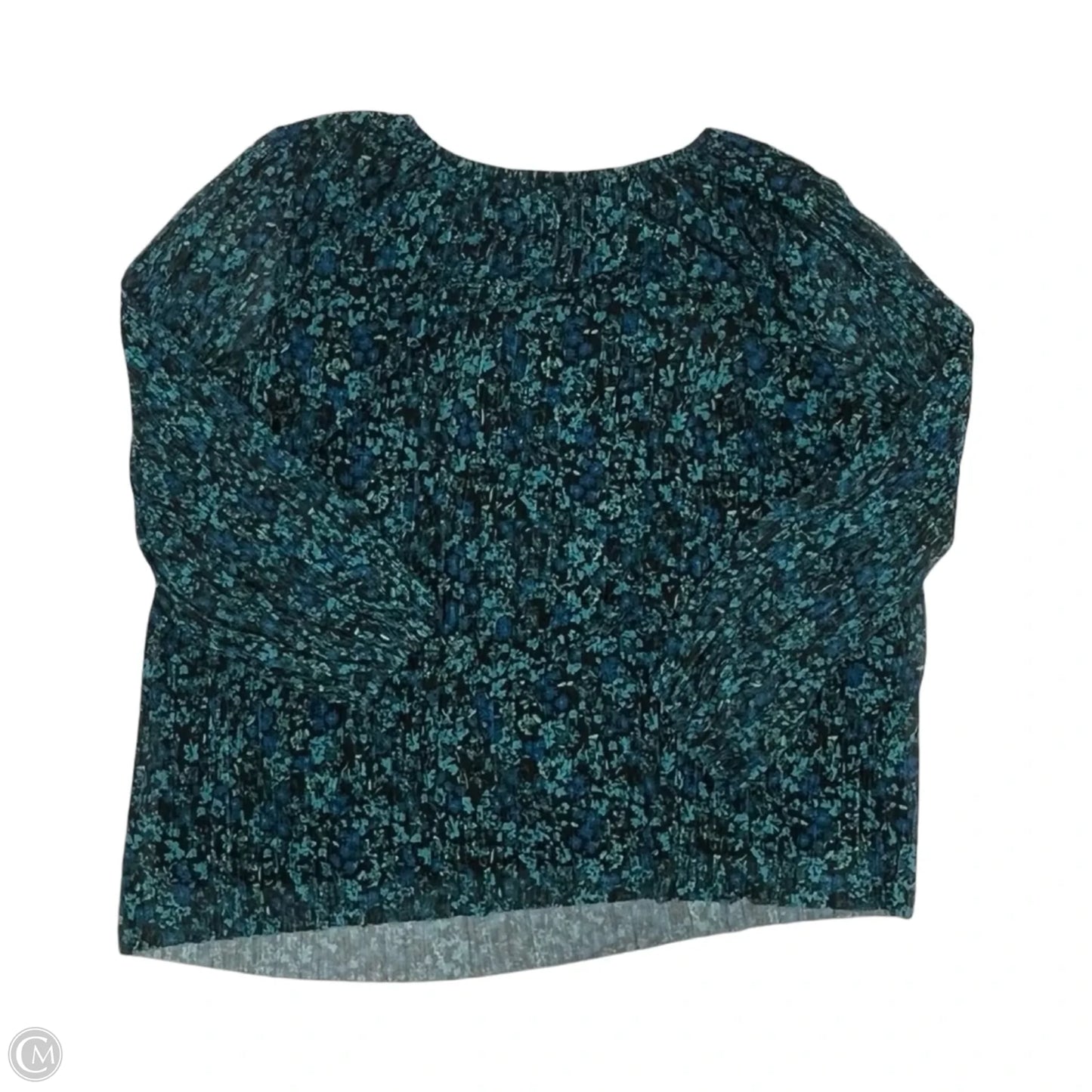 Blouse Long Sleeve By Terra & Sky In Blue, Size: 1x