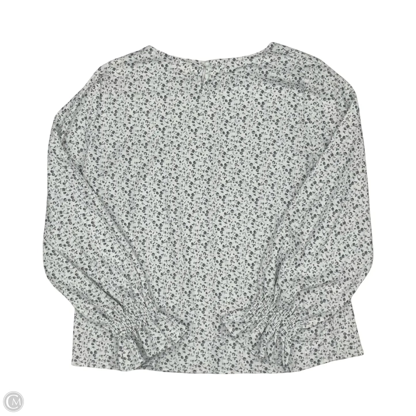 Blouse Long Sleeve By Cmf In Blue & White, Size: L