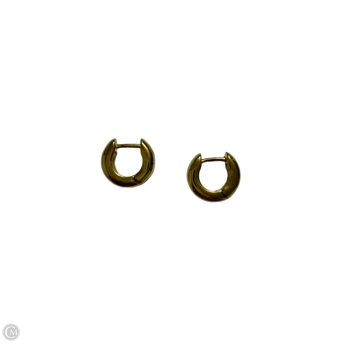 Earrings Hoop By Clothes Mentor