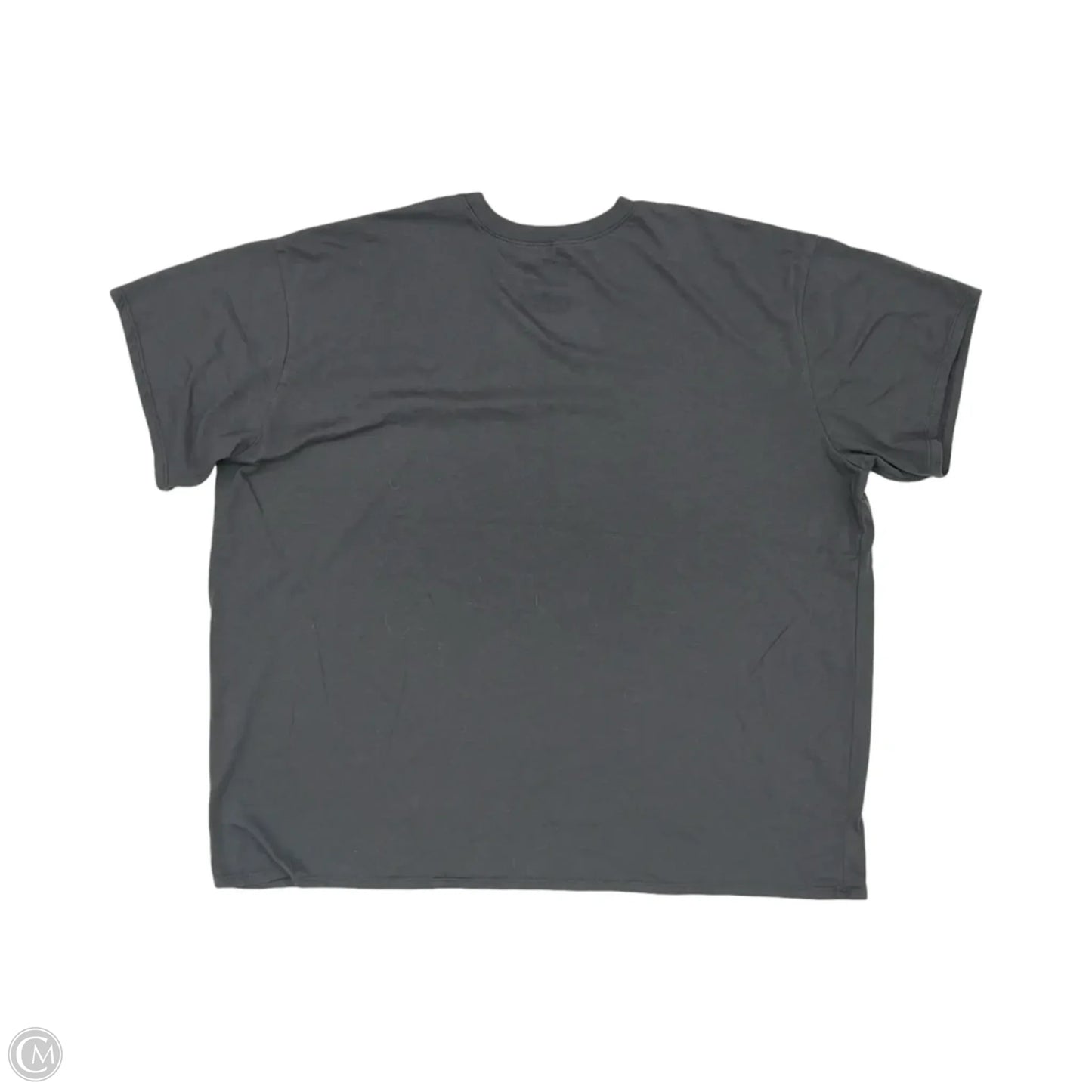 Top Short Sleeve By Clothes Mentor In Grey, Size: 2x