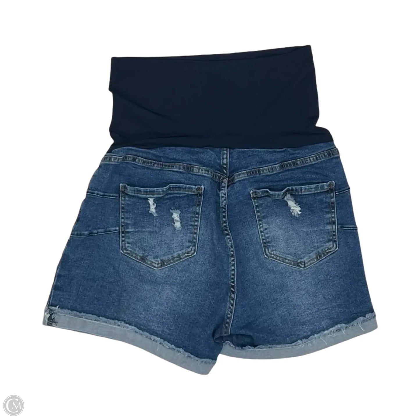 Mat Shorts By Clothes Mentor, Size: L