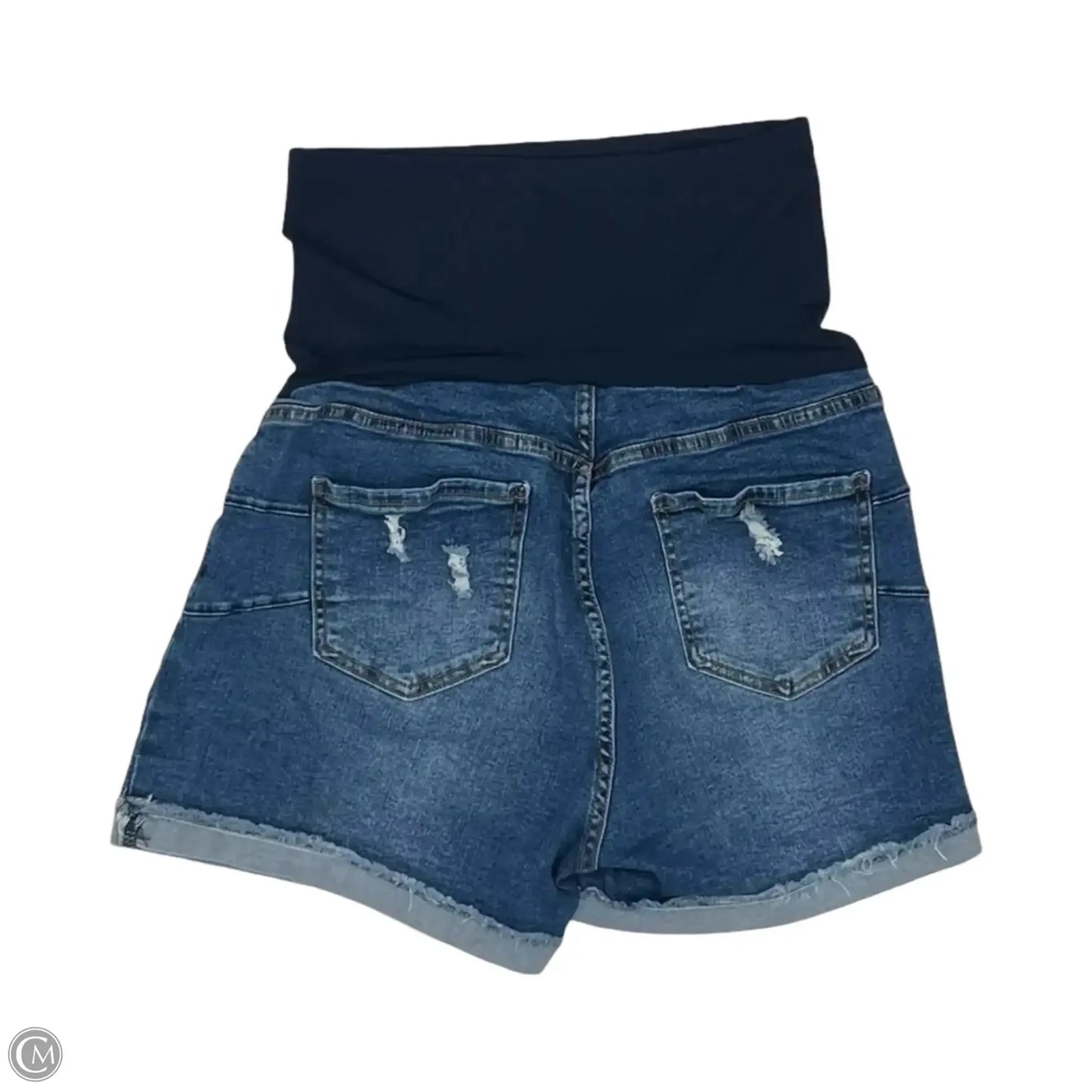 Mat Shorts By Clothes Mentor, Size: L