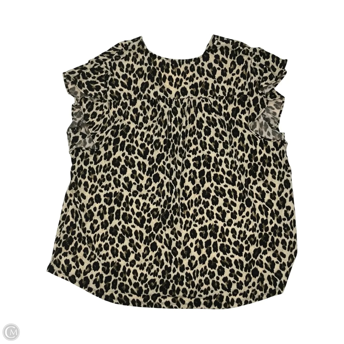Blouse Short Sleeve By Chaus In Animal Print, Size: Xl