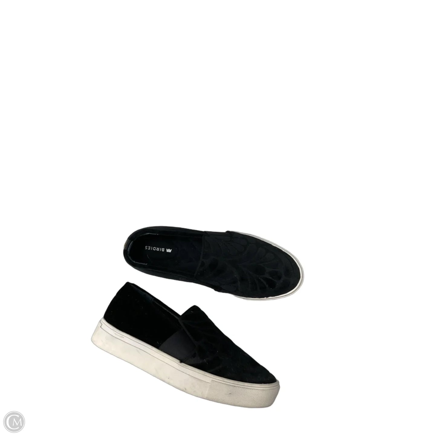 Shoes Sneakers By Birdies In Black, Size: 5