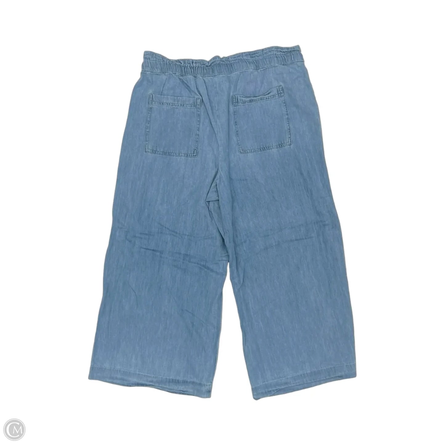 Pants Wide Leg By Loft In Blue, Size: Xl
