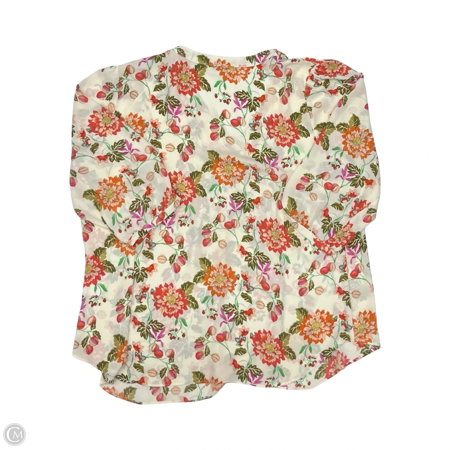 Blouse Long Sleeve By Rose And Olive In Floral Print, Size: 2x