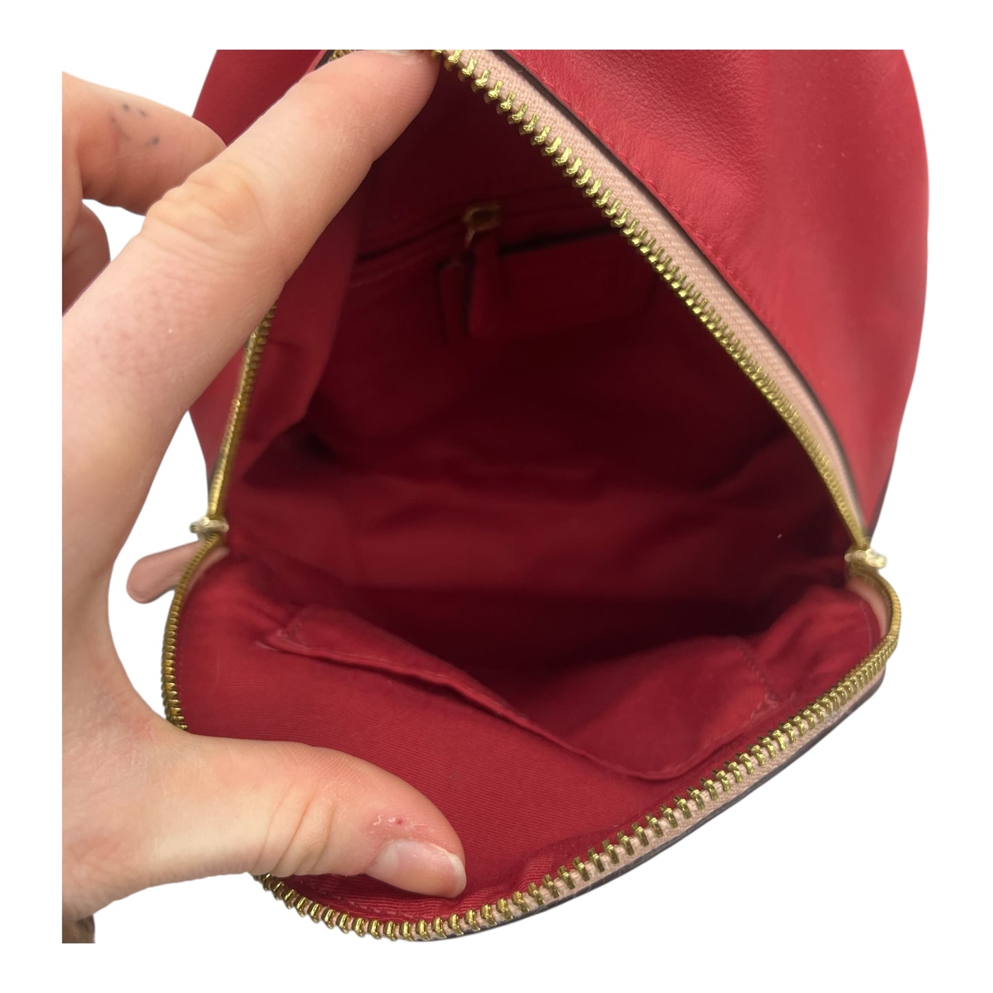 Backpack Designer By Coach In Brown, Size:Small