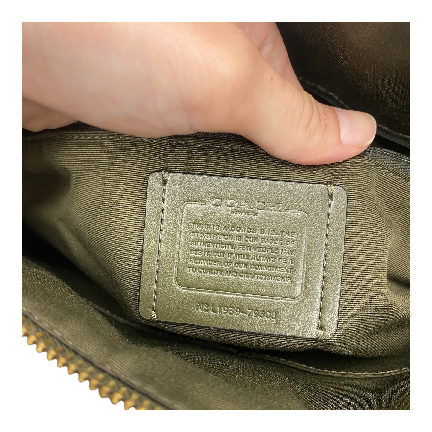 Handbag Designer By Coach In Green, Size:Large