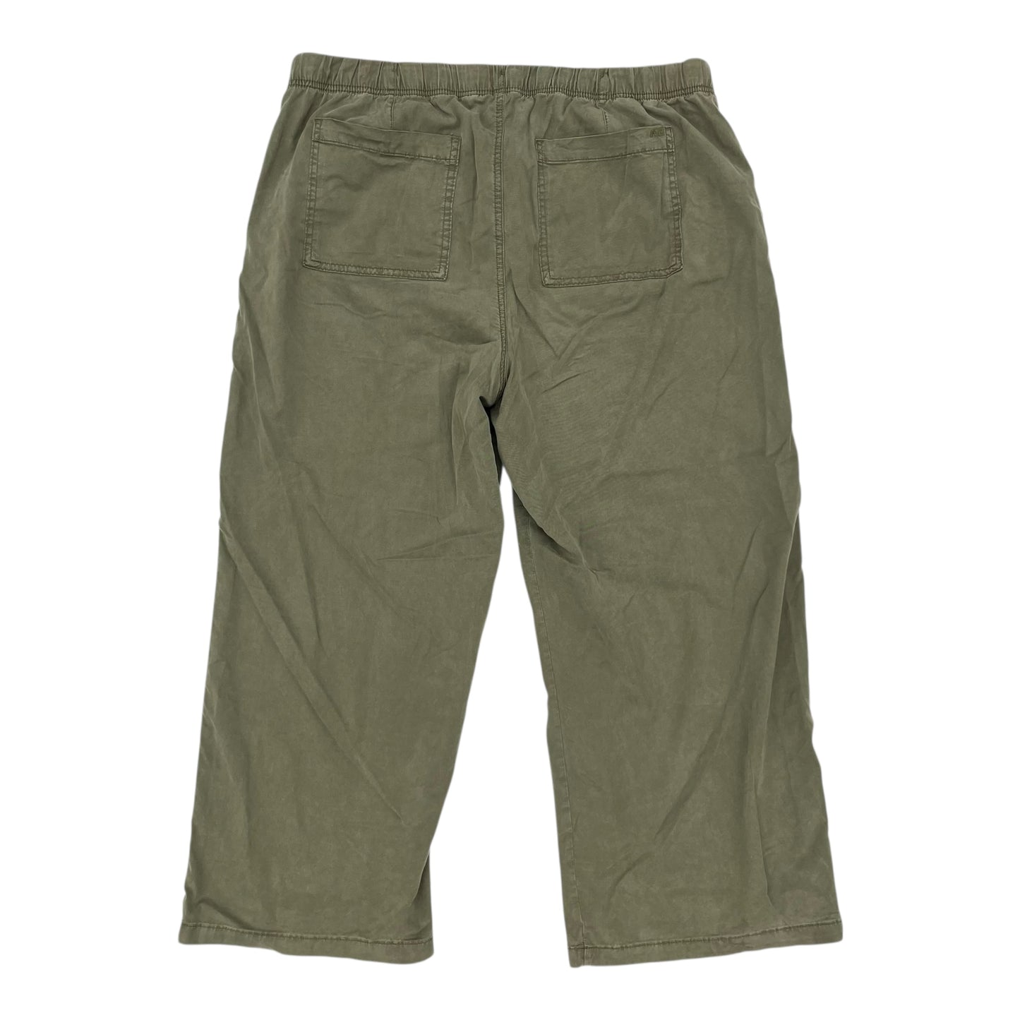 Pants Wide Leg By American Eagle In Green, Size:Xl