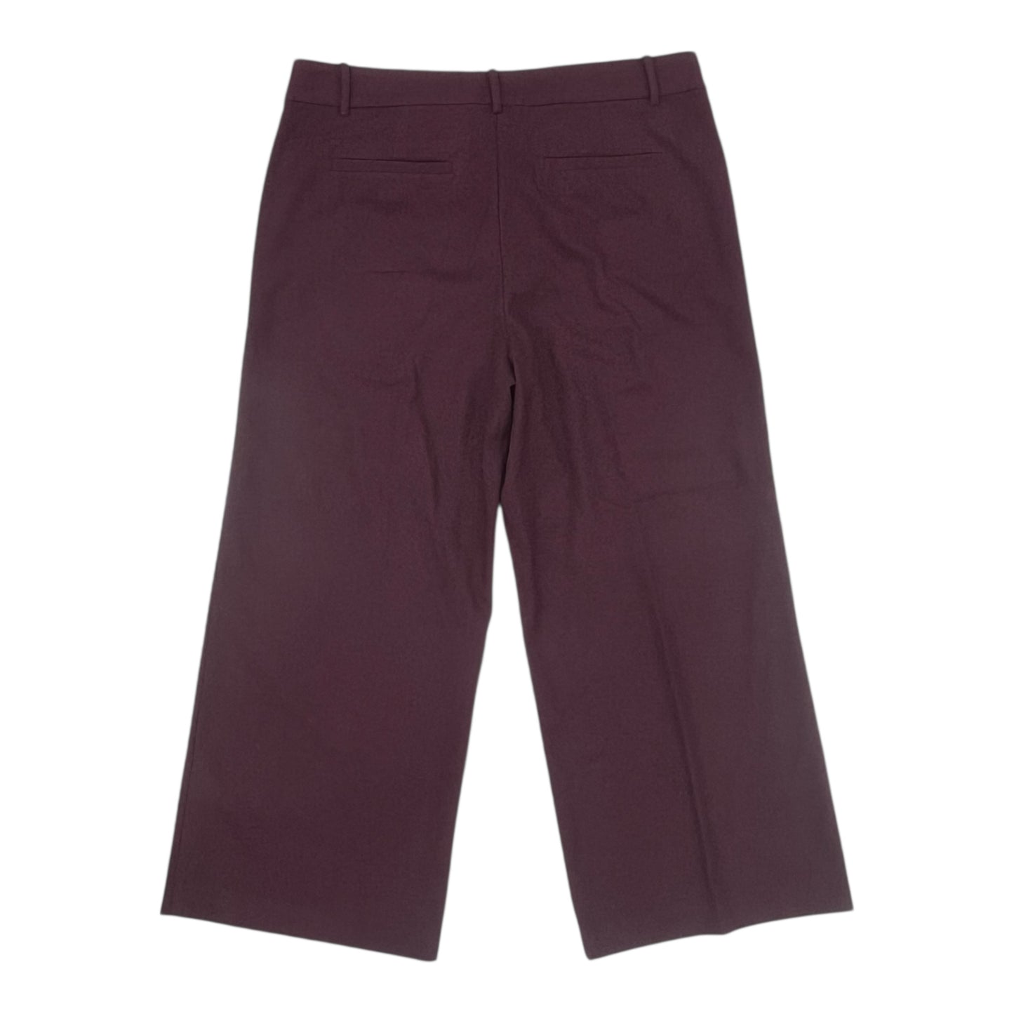 Pants Dress By Loft In Maroon, Size:12