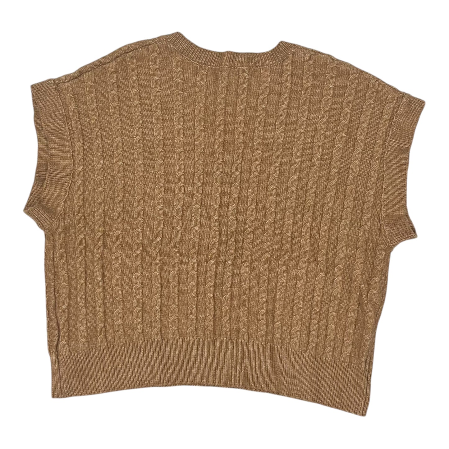 Vest Sweater By Cupcakes And Cashmere In Brown, Size:2X