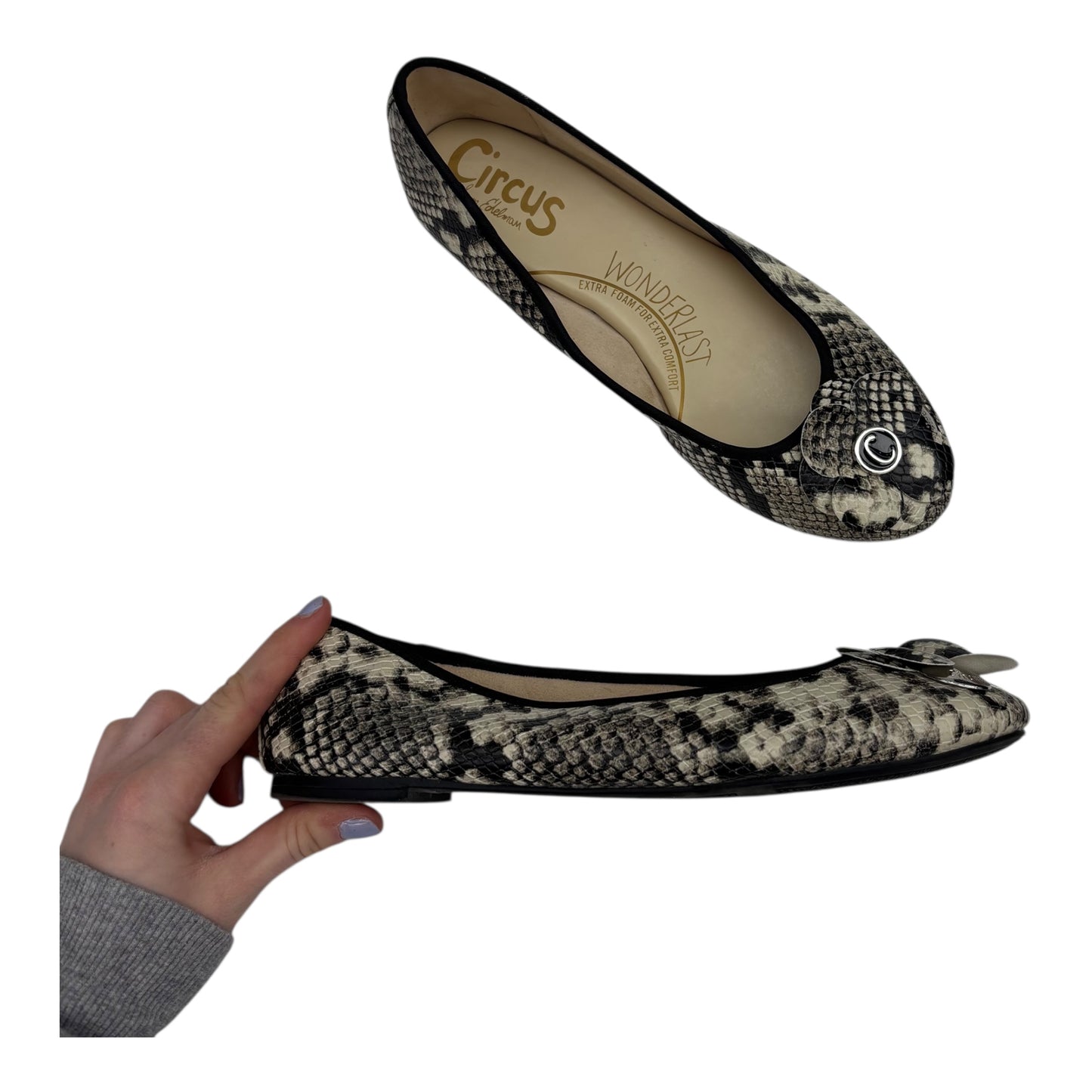 Shoes Flats By Circus By Sam Edelman In Snakeskin Print, Size:9