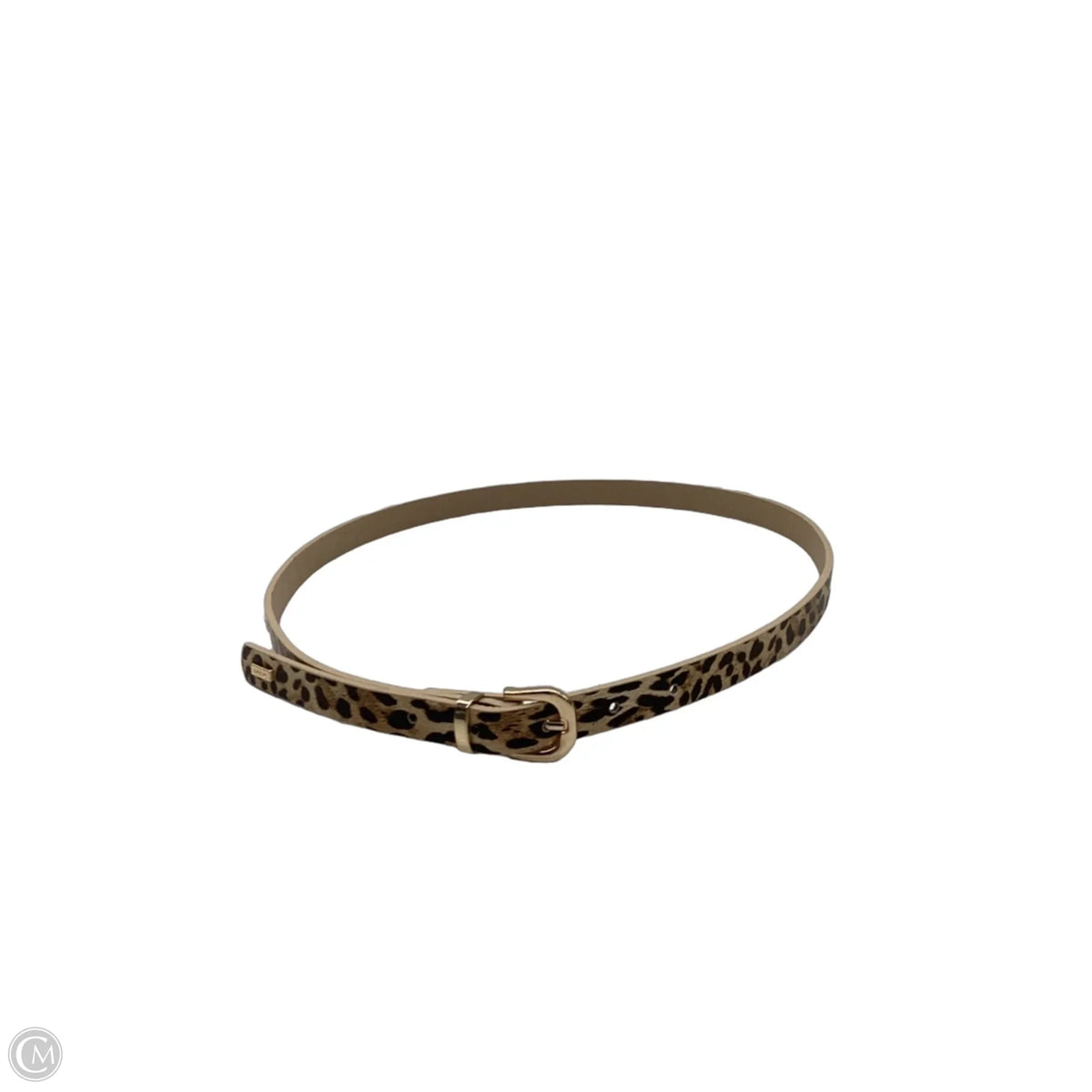 Belt By Bebe