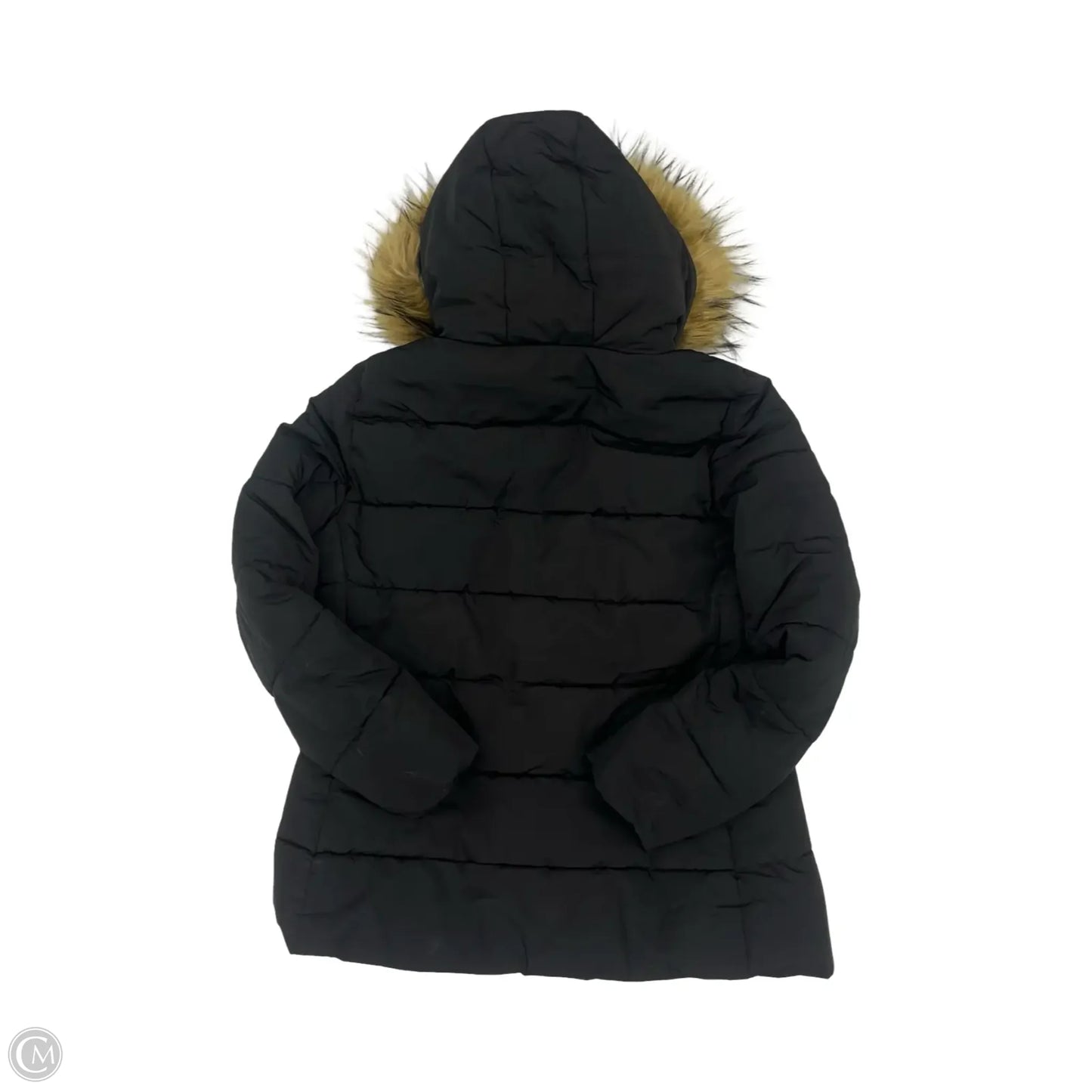 Coat Puffer & Quilted By Tommy Hilfiger In Black, Size: L