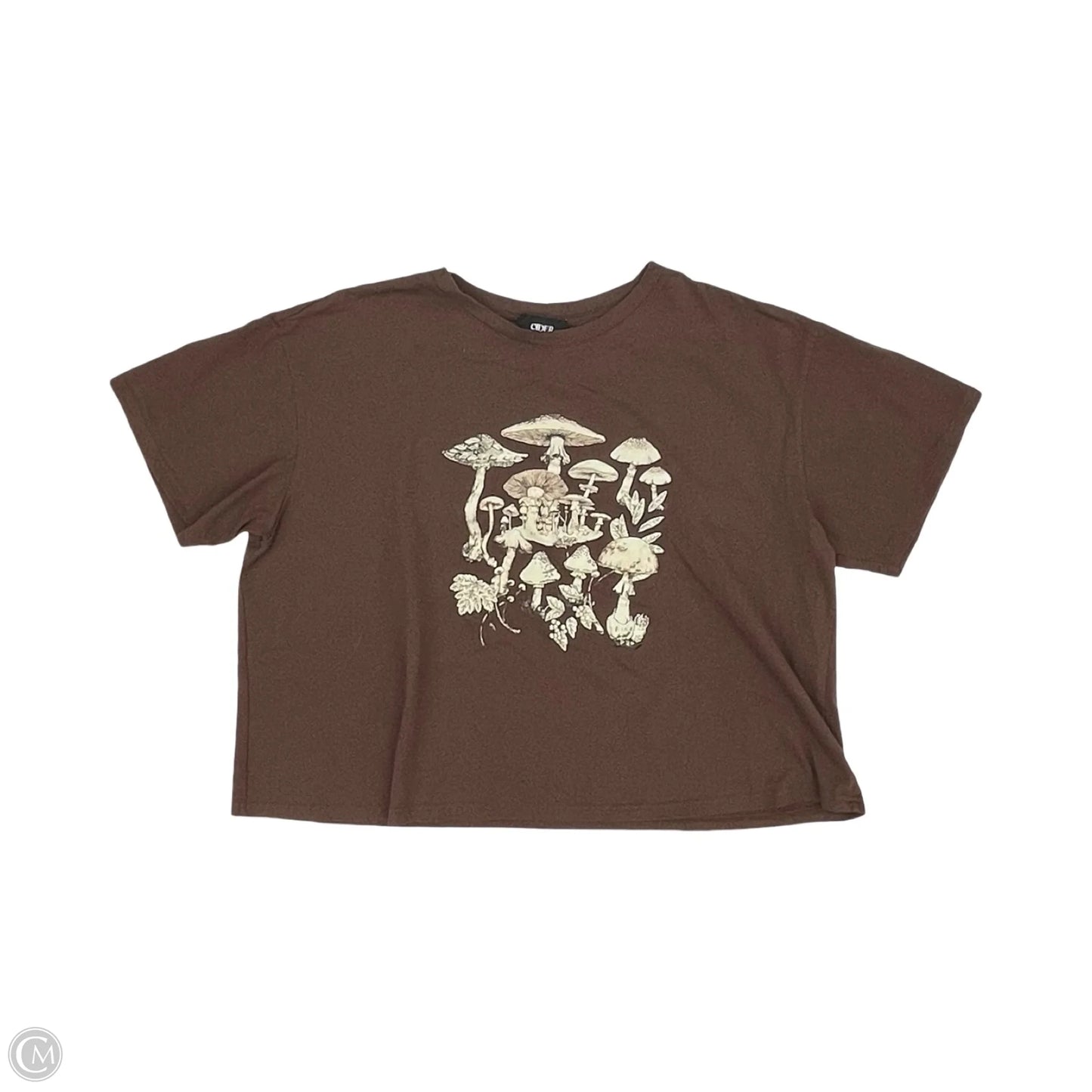 Top Short Sleeve By Cider In Brown, Size: 3x