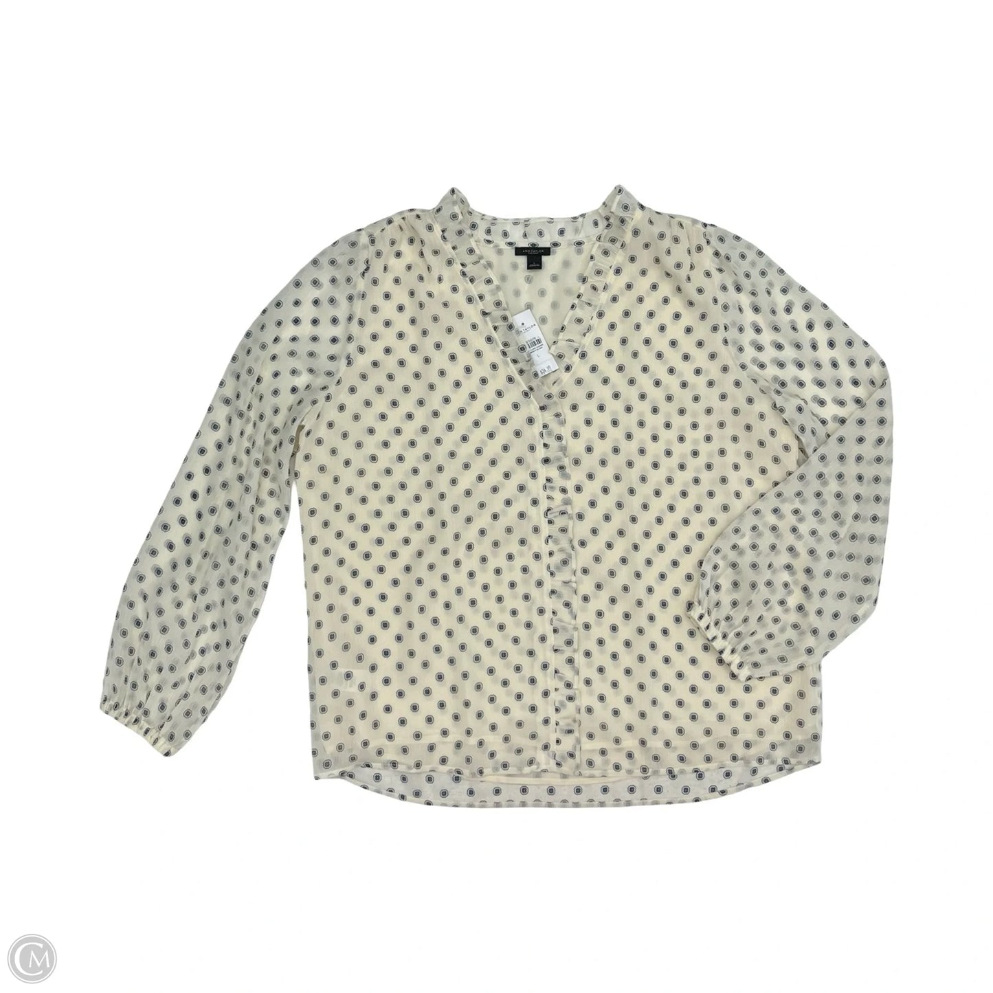 Blouse Long Sleeve By Ann Taylor In Blue & Cream, Size: L