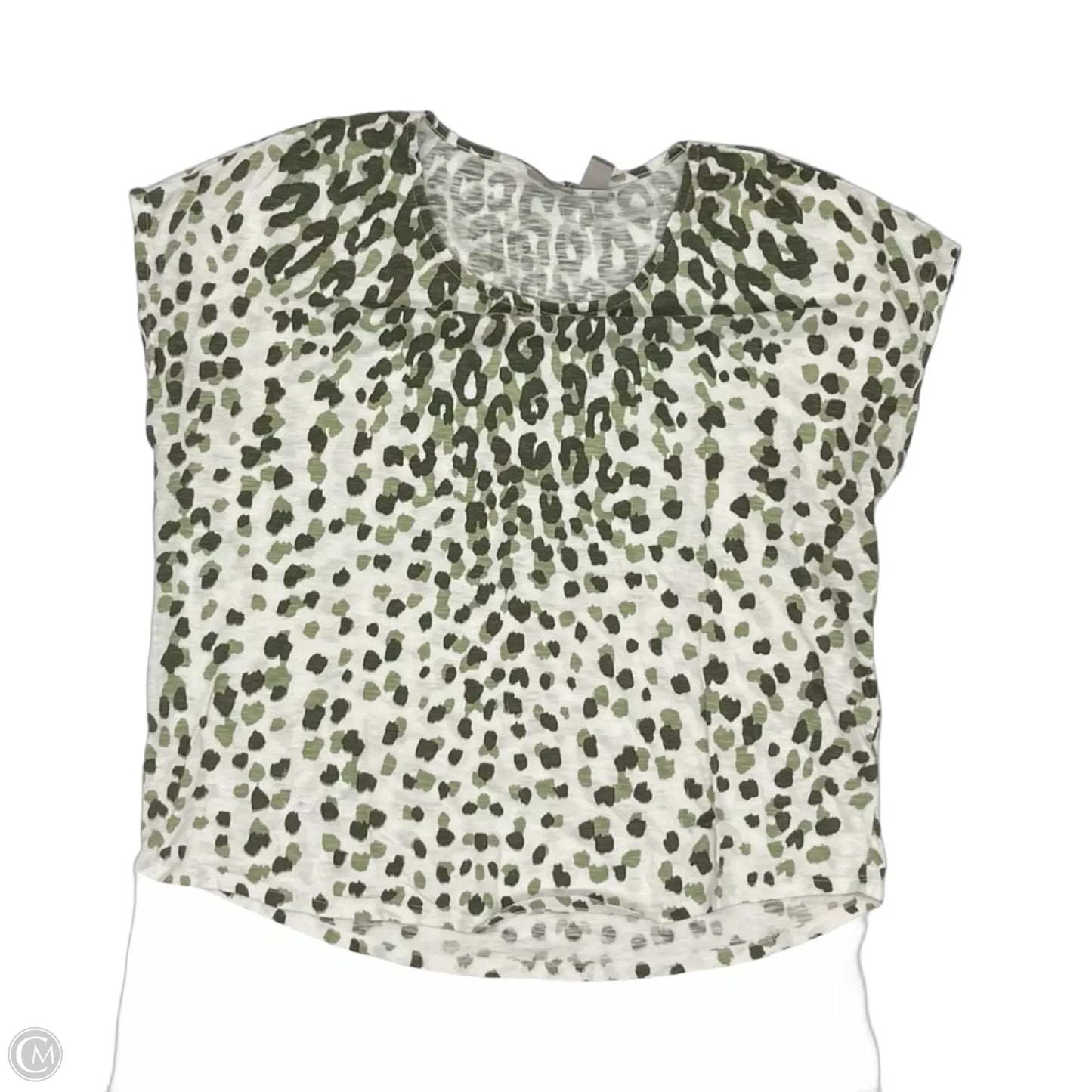 Top Short Sleeve By Chicos In Green & White, Size: L
