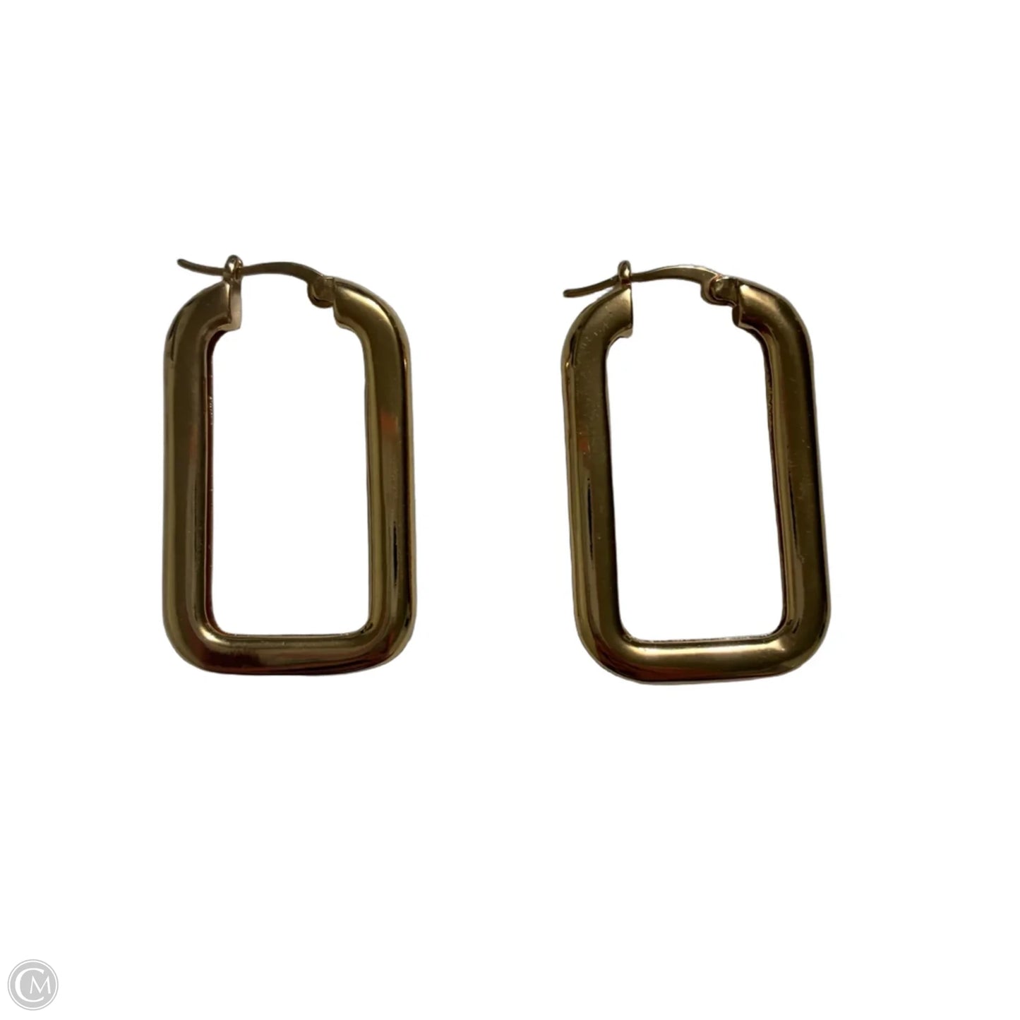 Earrings Hoop By Clothes Mentor