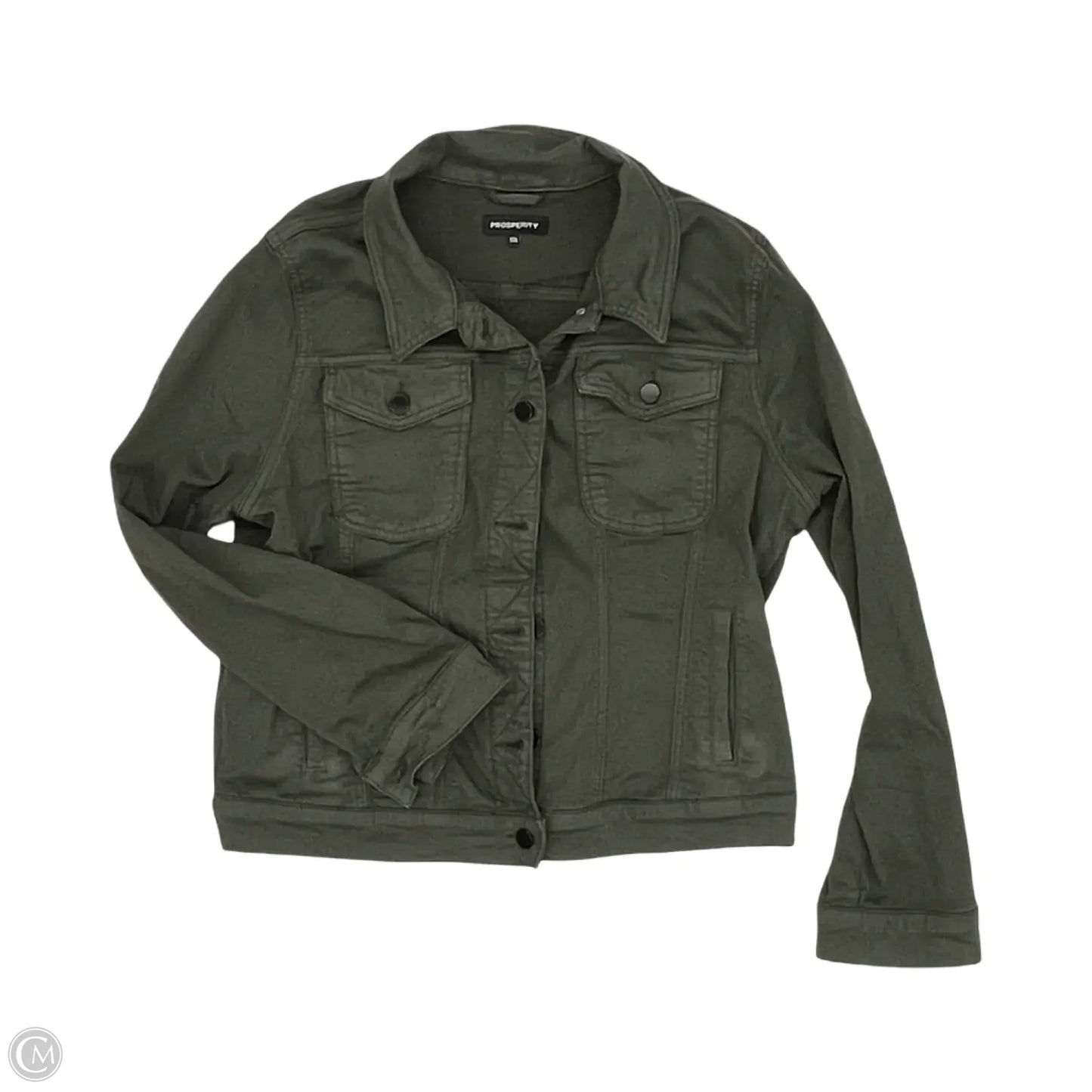 Jacket Other By Prosperity In Green, Size: Xxl