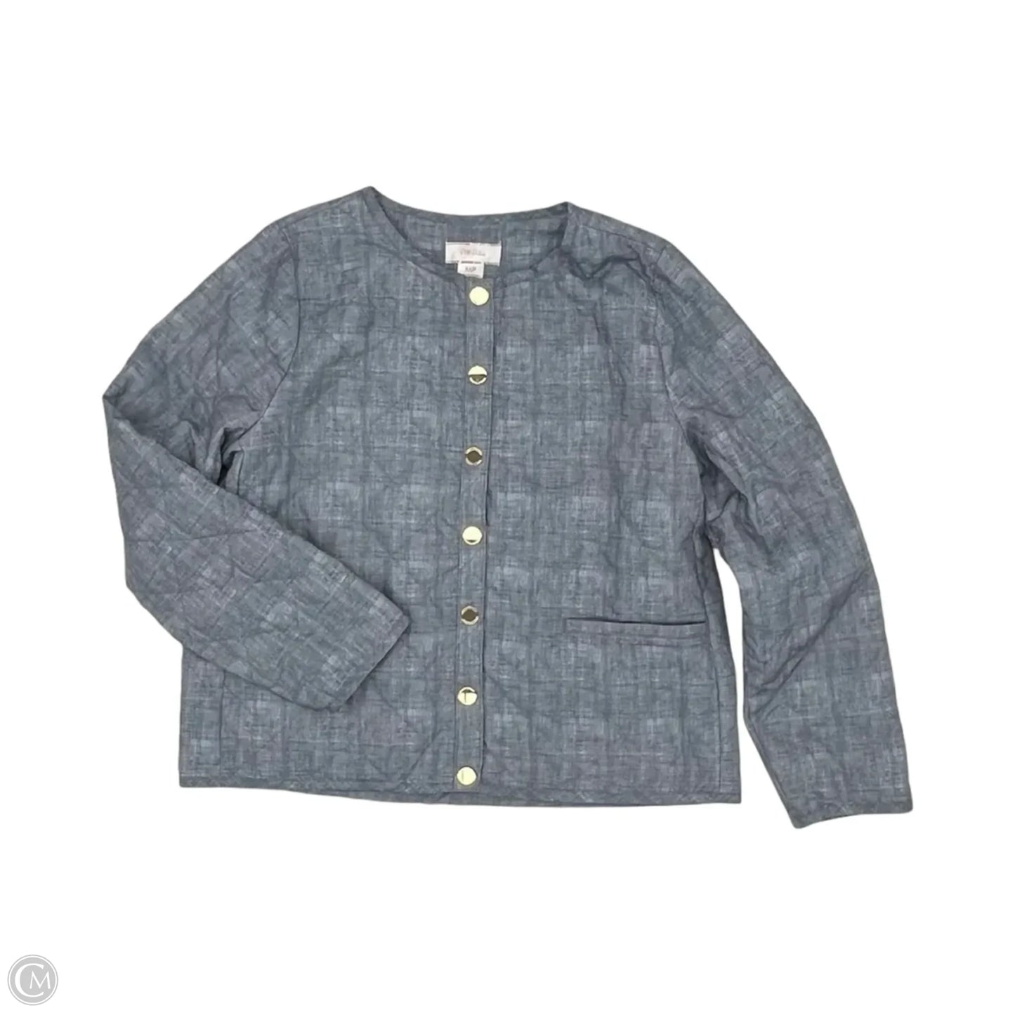 Jacket Puffer & Quilted By Stella Parker In Blue, Size: Mp