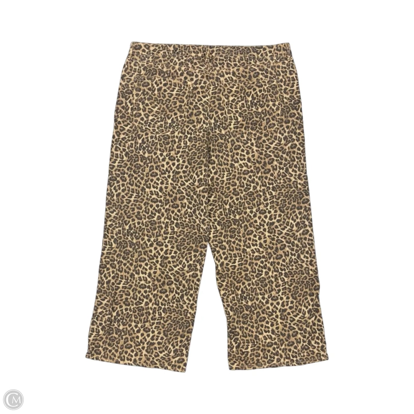 Pants Wide Leg By American Eagle In Leopard Print, Size: 20