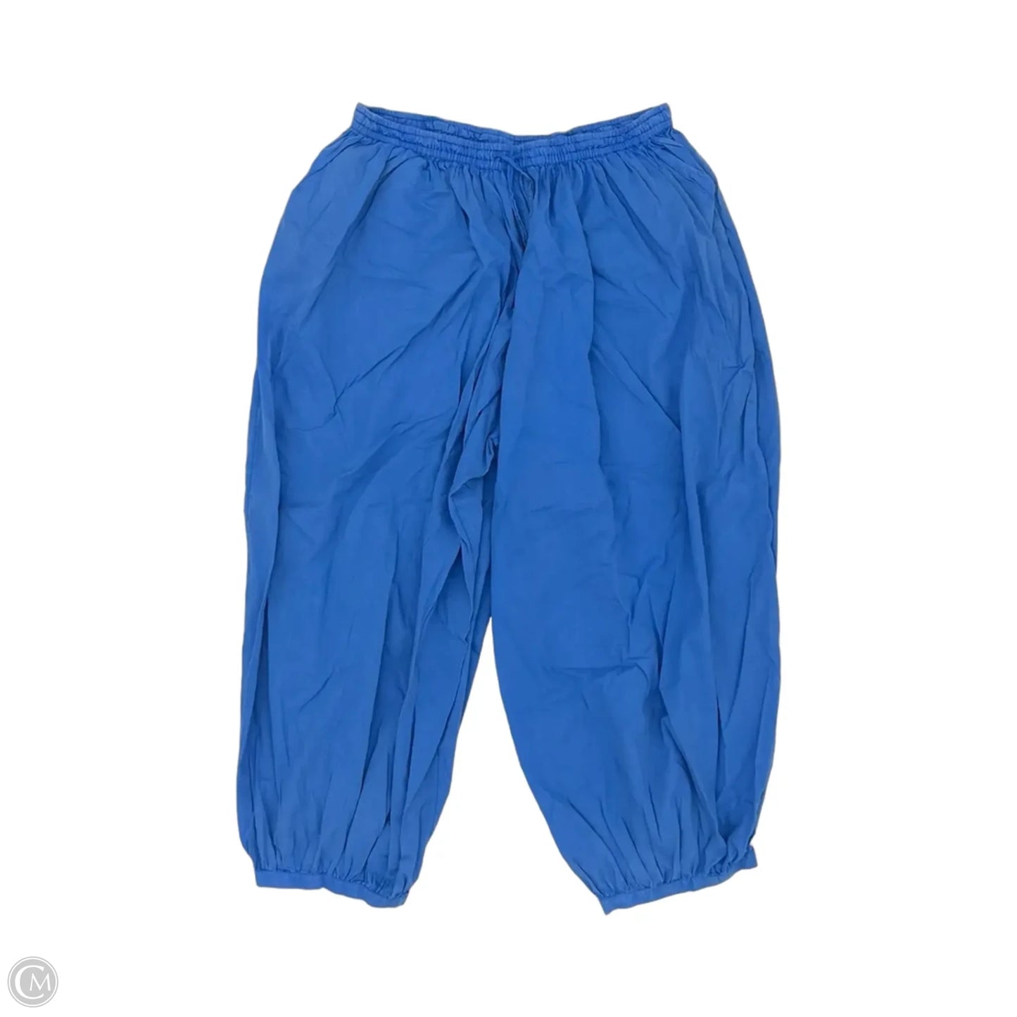 Pants Joggers By Bdg In Blue, Size: L