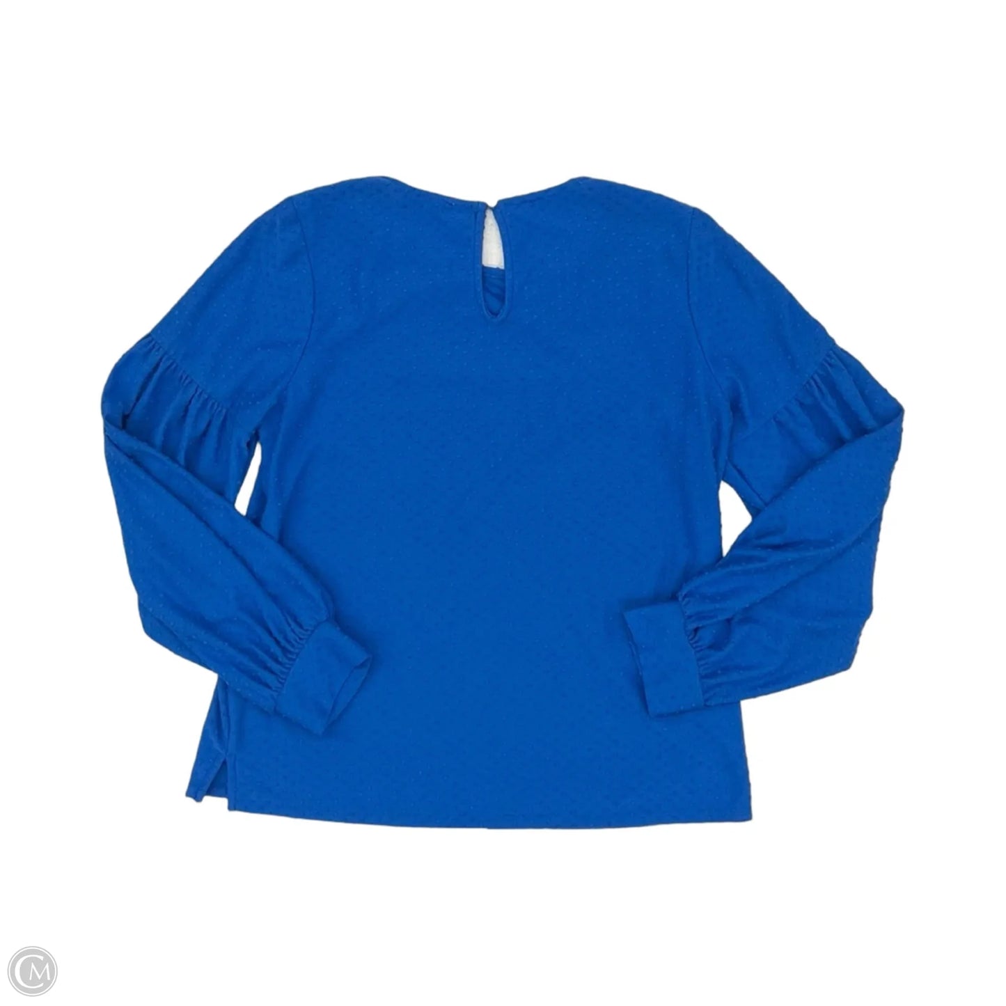 Blouse Long Sleeve By Clothes Mentor In Blue, Size: M