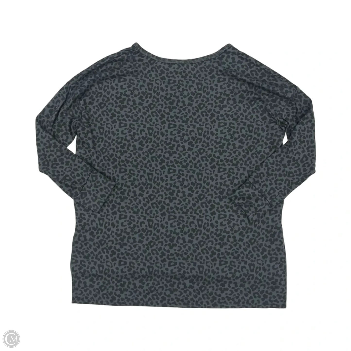 Top Long Sleeve By American Eagle In Leopard Print, Size: S