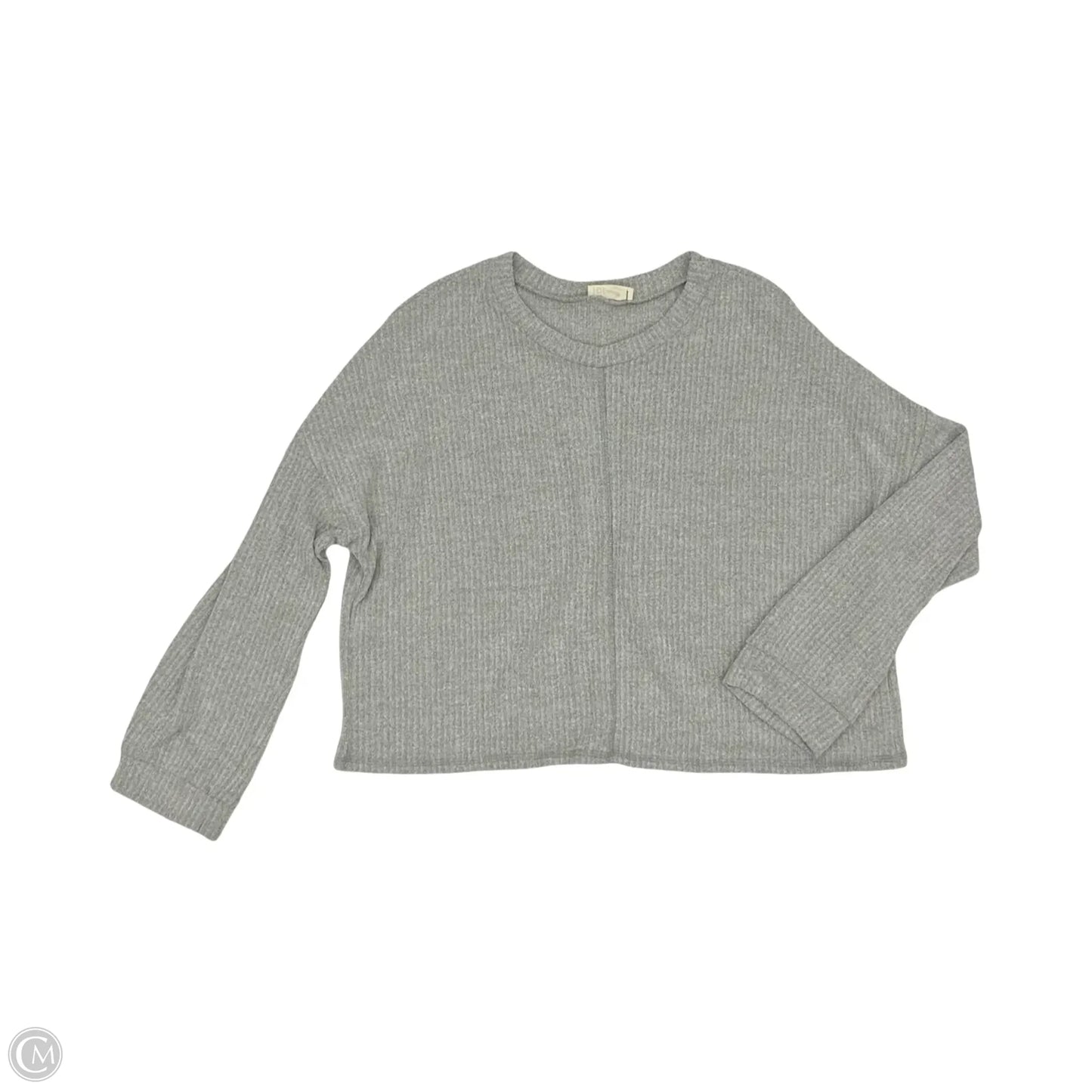 Top Long Sleeve By Blumin In Grey, Size: 2x