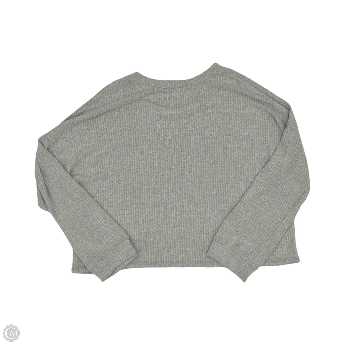 Top Long Sleeve By Blumin In Grey, Size: 2x