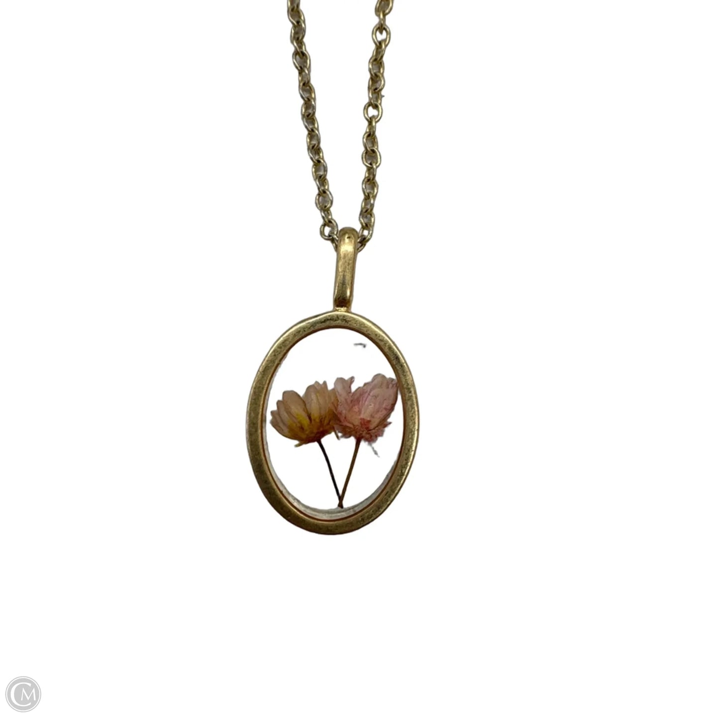 Necklace Layered By Clothes Mentor