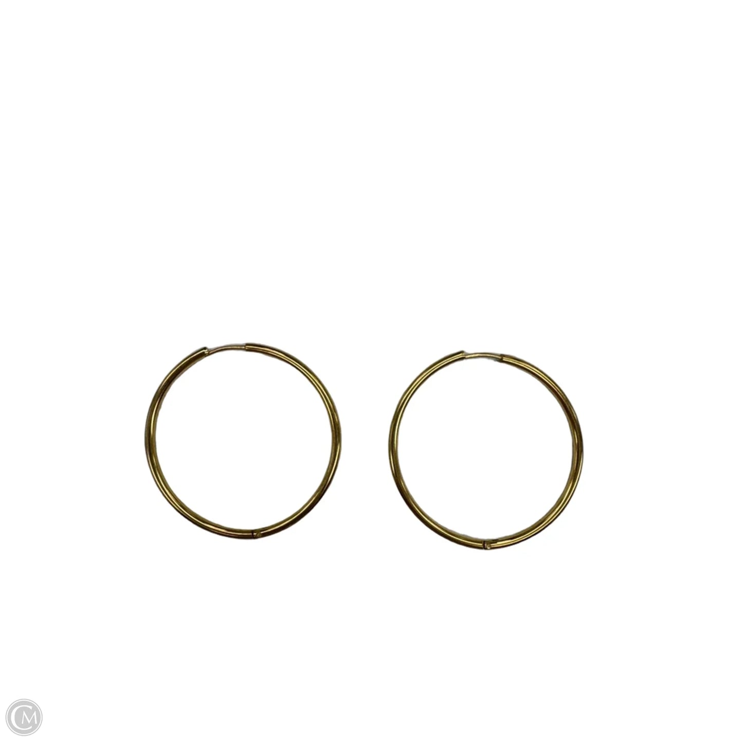 Earrings Hoop By Clothes Mentor