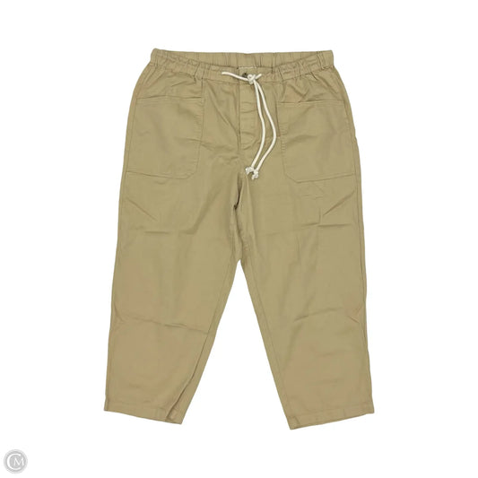 Pants Cargo & Utility By Universal Thread In Tan, Size: Xxl