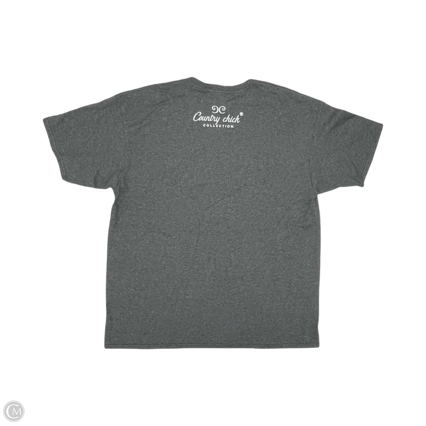 Top Short Sleeve By Clothes Mentor In Grey, Size: Xl
