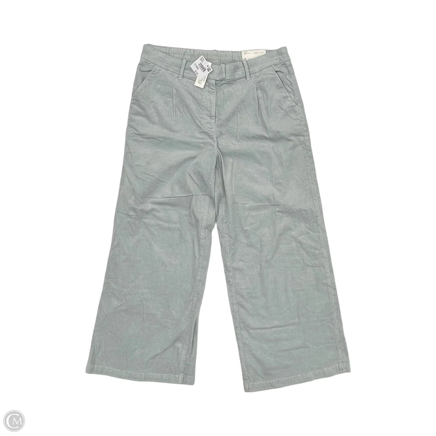 Pants Corduroy By American Eagle In Blue, Size: 16