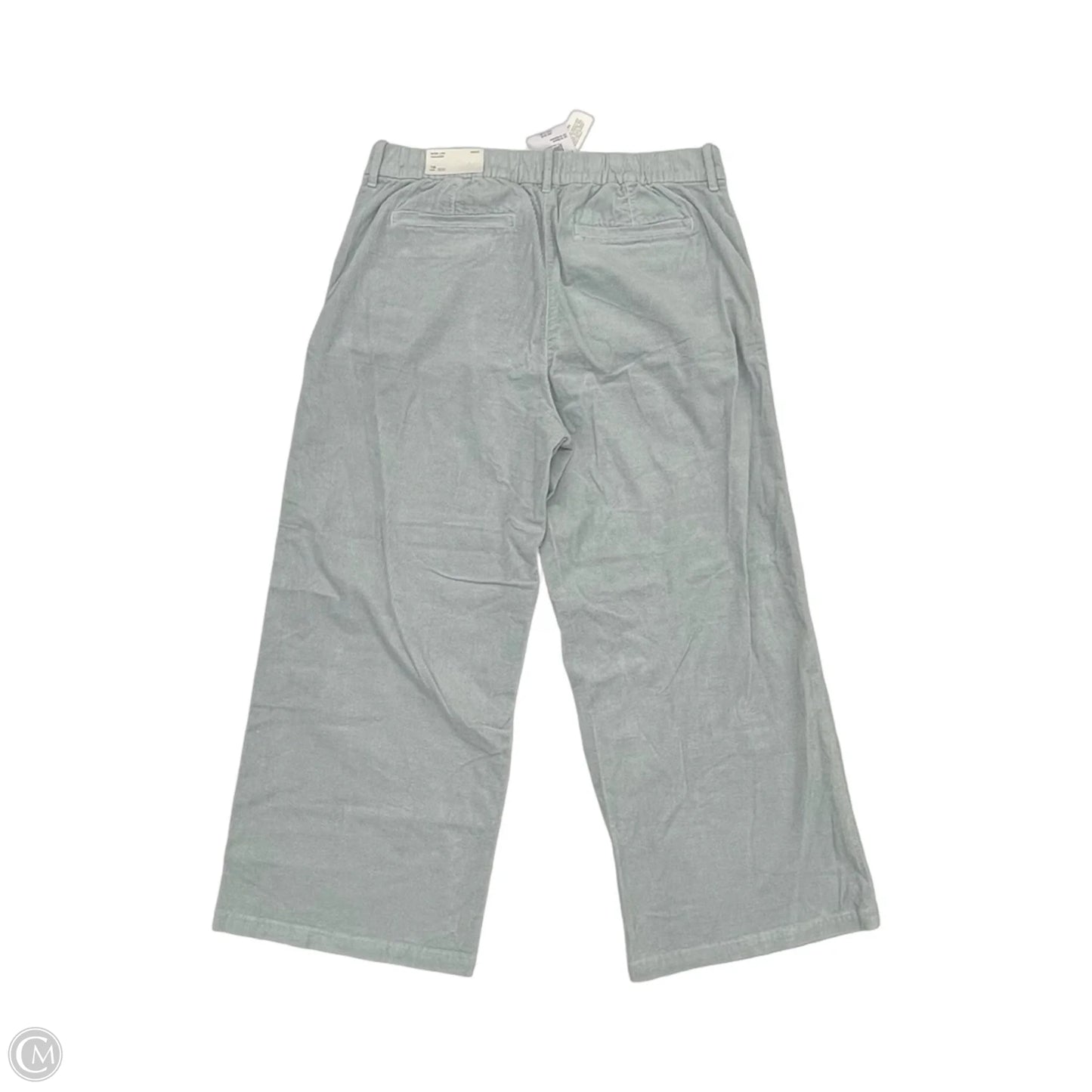 Pants Corduroy By American Eagle In Blue, Size: 16
