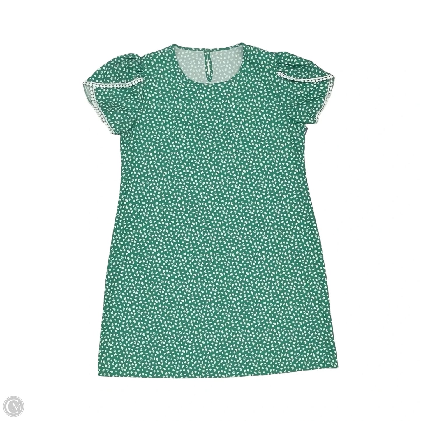 Dress Casual Short By Clothes Mentor In Green & White, Size: Xl