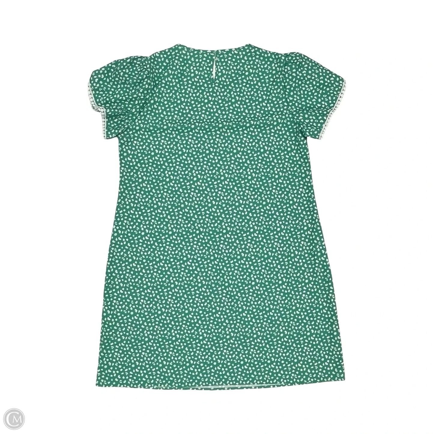 Dress Casual Short By Clothes Mentor In Green & White, Size: Xl