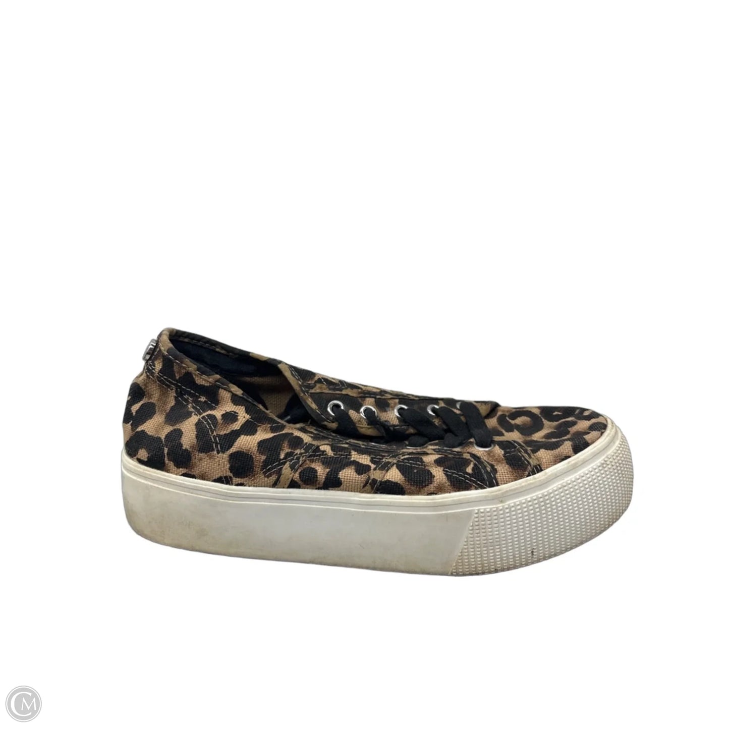 Shoes Sneakers Platform By Steve Madden In Leopard Print, Size: 8.5