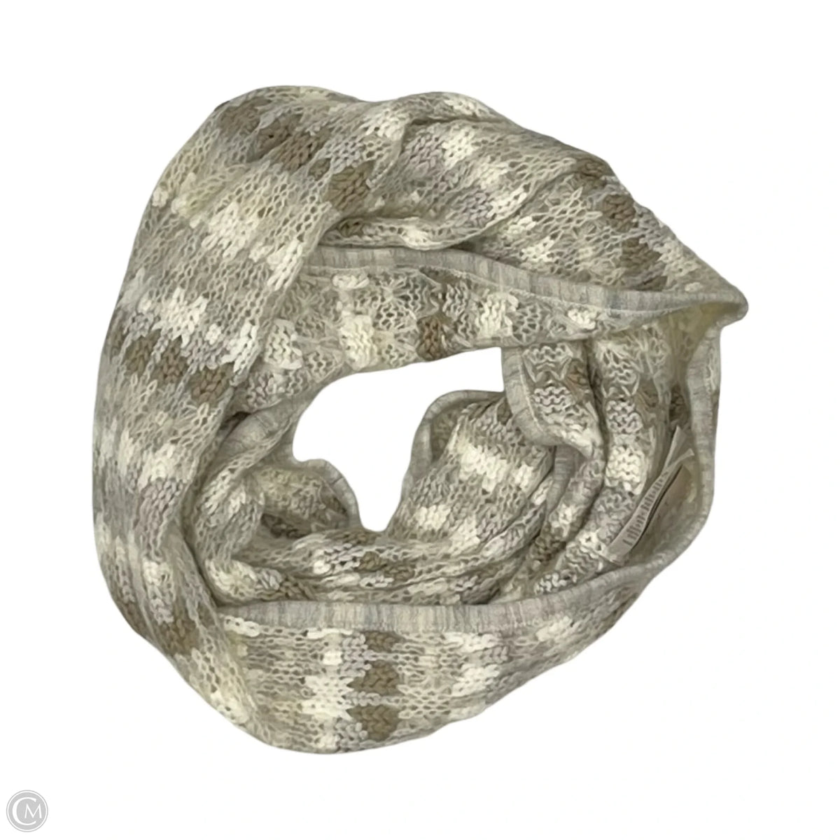 Scarf Winter By Loft In Cream