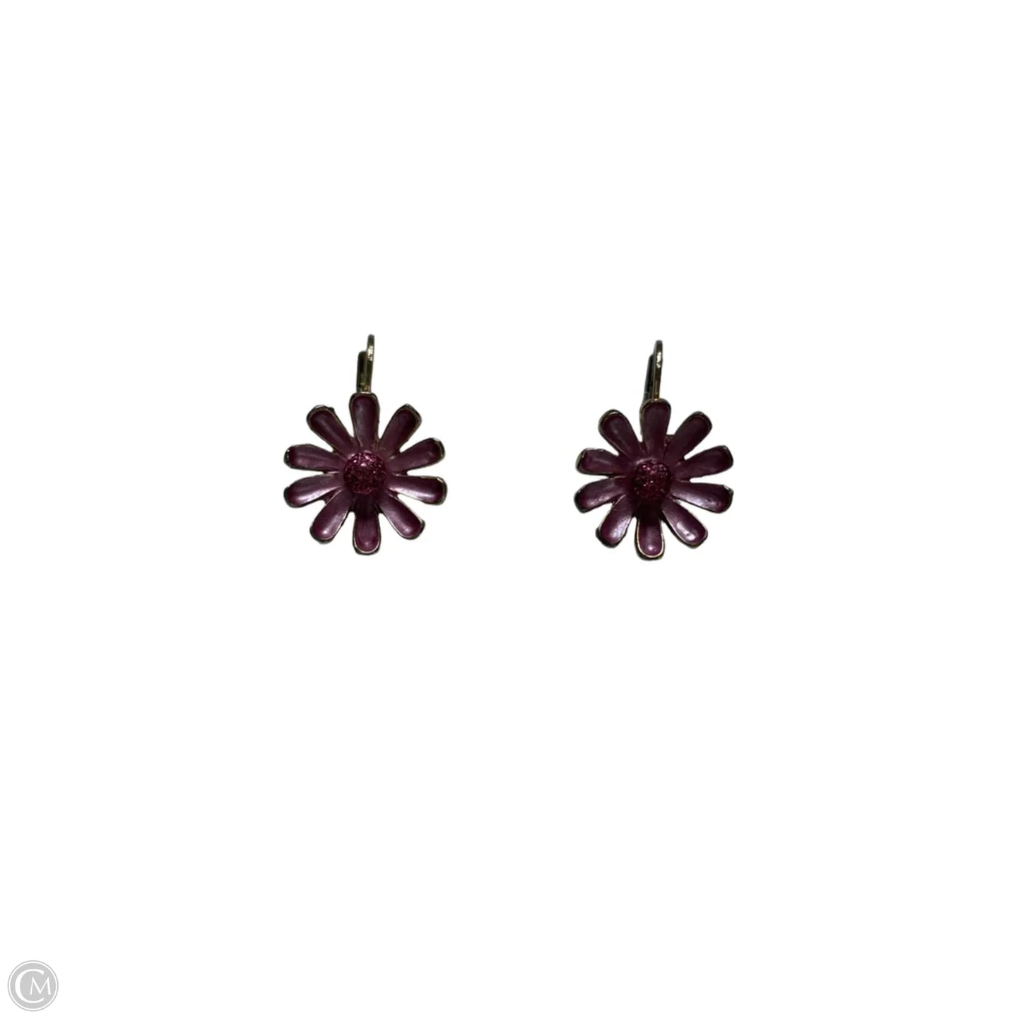 Earrings Dangle/drop By Clothes Mentor