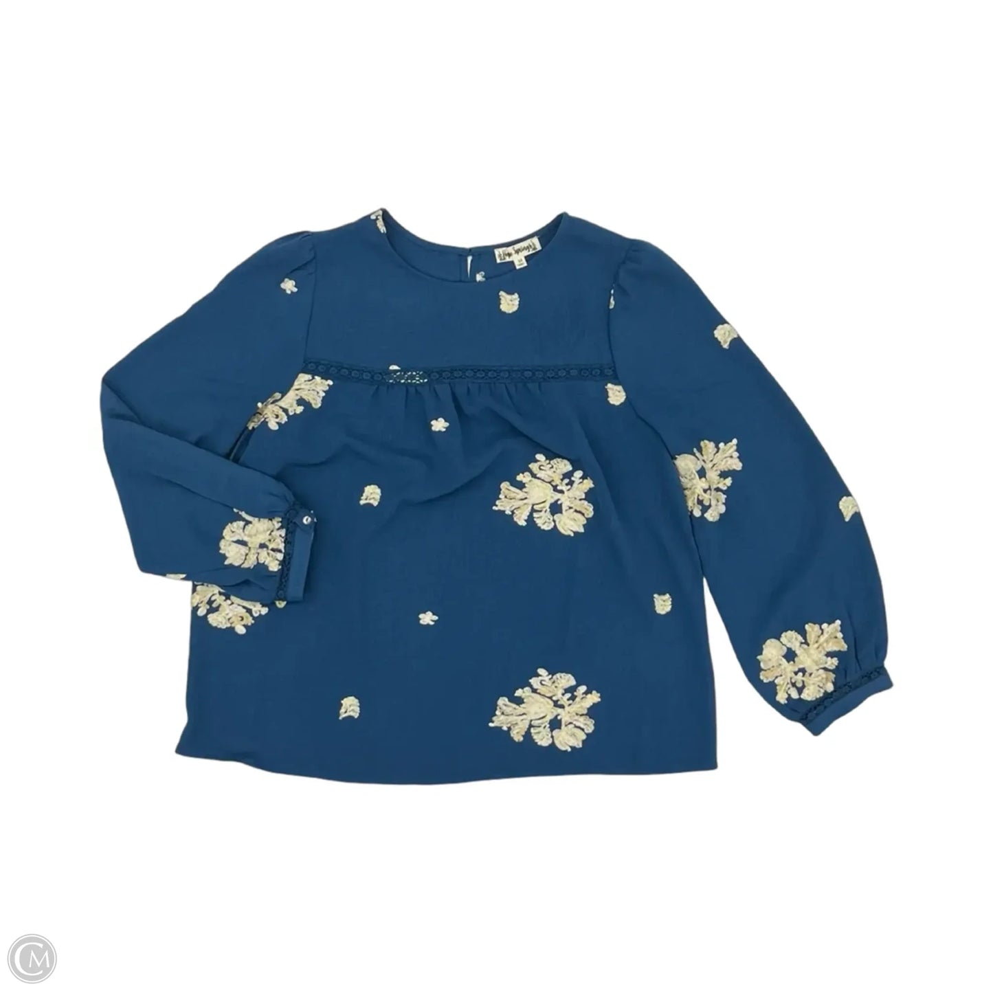 Blouse Long Sleeve By Clothes Mentor In Blue, Size: M