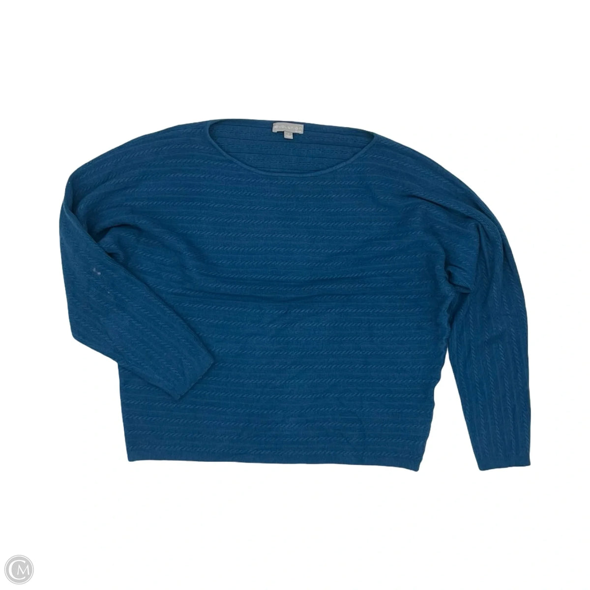 Sweater By Clothes Mentor In Blue, Size: L