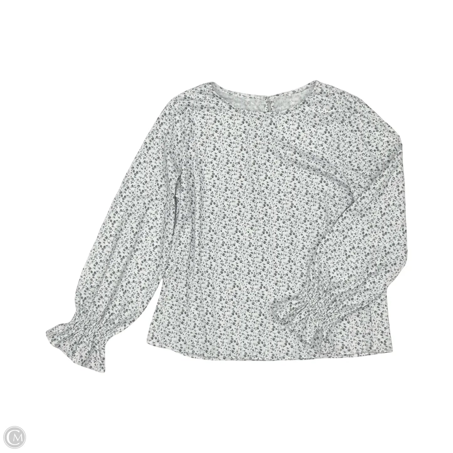 Blouse Long Sleeve By Cmf In Blue & White, Size: L